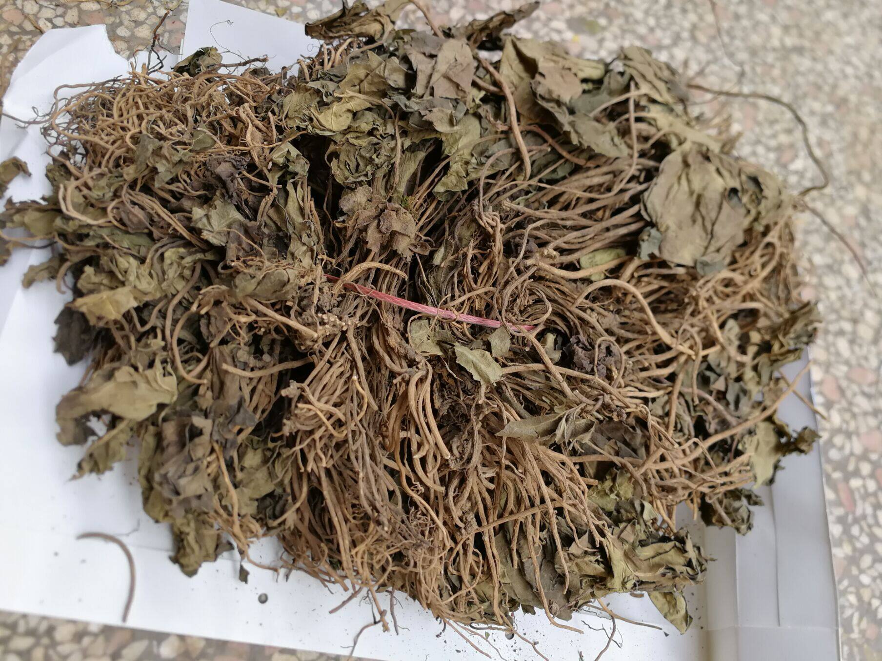 中草药金耳环别名土细辛大叶细辛 千打锤 一块瓦马蹄细辛 500克