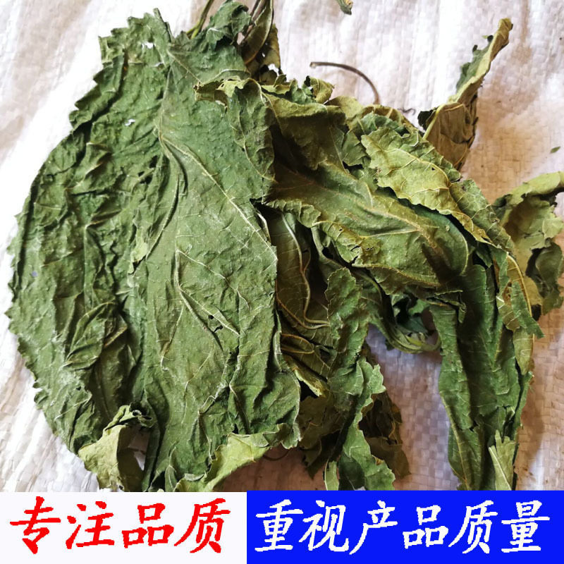 霜后桑叶干中药材霜桑叶冬桑叶500g双桑叶桑椹树叶老桑叶蚕叶泡茶