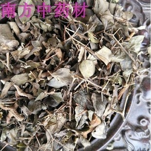 虎刺草中草药 绣花针中药材 伏牛花老鼠刺针上叶寿星草 500克