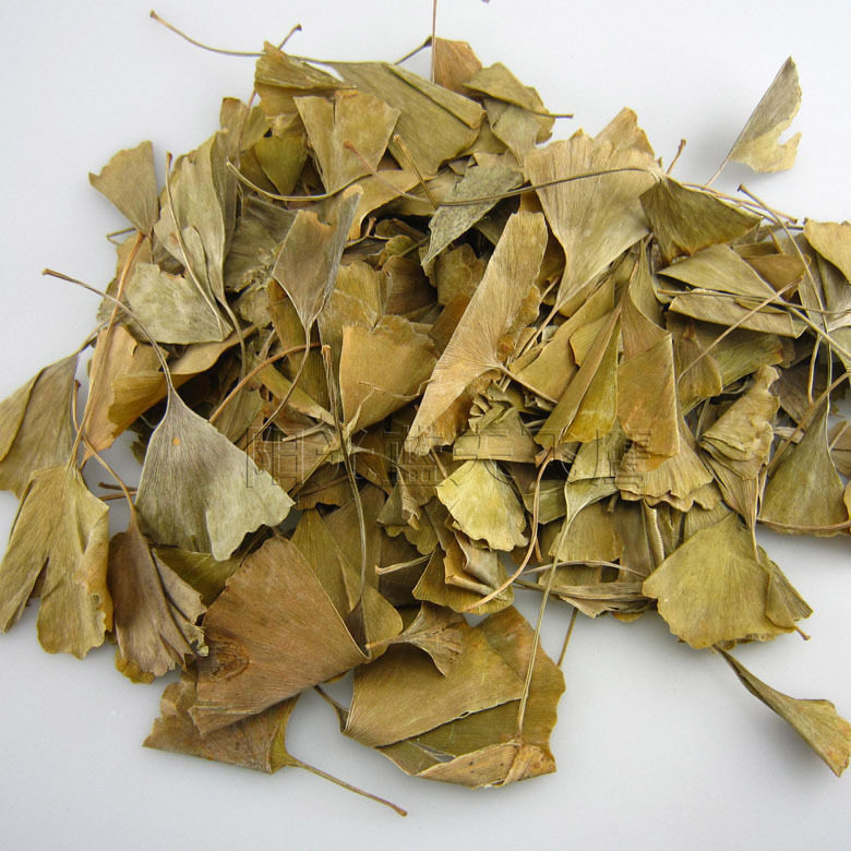 银杏叶中药材500克新货银杏叶片银杏叶茶 银杏树叶新鲜晒干白果叶