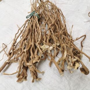 观音串中药黄花倒水莲根倒吊黄王根新鲜干货泡酒煲汤产后月子茶水