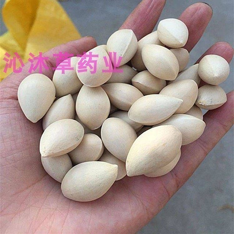 白果干货500g克 白果 银杏新鲜银杏果干白果仁煲汤食材无硫