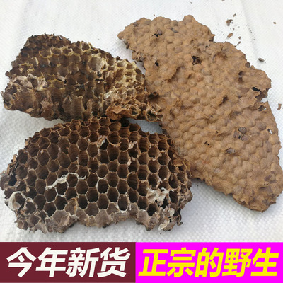 马蜂窝中药材露蜂房可磨粉