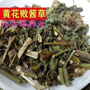 正宗败酱草中草药苦菜草黄花败酱草泽败草臭败酱草野苦菜500克