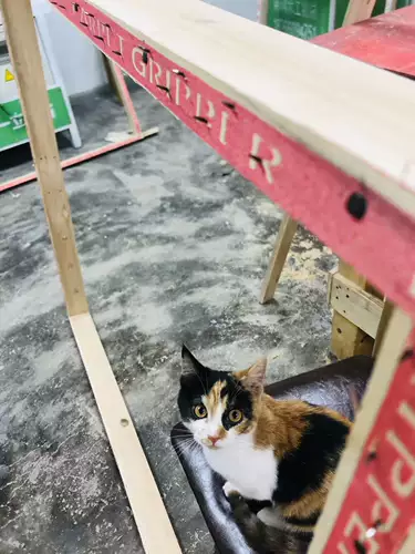 Кластерная каркасная каркавая бархатная ручная ручная стойка с твердым деревянной рамой на заказ ручной ковер каркас