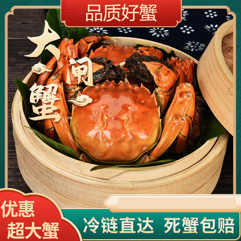 【活蟹】天螯大闸蟹海鲜活水产螃蟹全母12只大蟹海鲜礼盒包装湖蟹