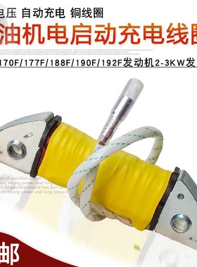 GX160汽油发电机配件5KW 168F170 188F190 GX390 12V直流充电线圈