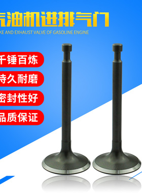 汽油发动机水泵配件EY20 RGX2400进排气门 平板夯抹光机167F 气门