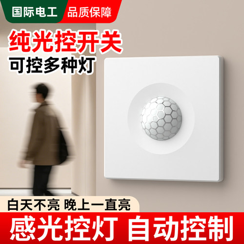 智能纯光控开关2线制墙壁安装感应器自动测光天黑亮灯220V大功率