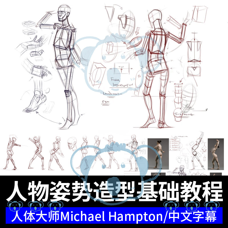 人物造型基础课程人体构造动作姿势入门速写结构透视解剖大师教程