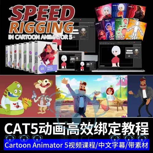 CTA5动画高效绑定课程角色7天快速骨骼绑定教程Cartoon Animator5