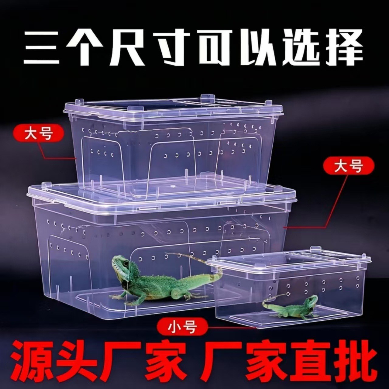 大蚕卵箱太空舱小品级使用透明蚕食透气宠物蚕饲养活体蚕宝宝手提图片