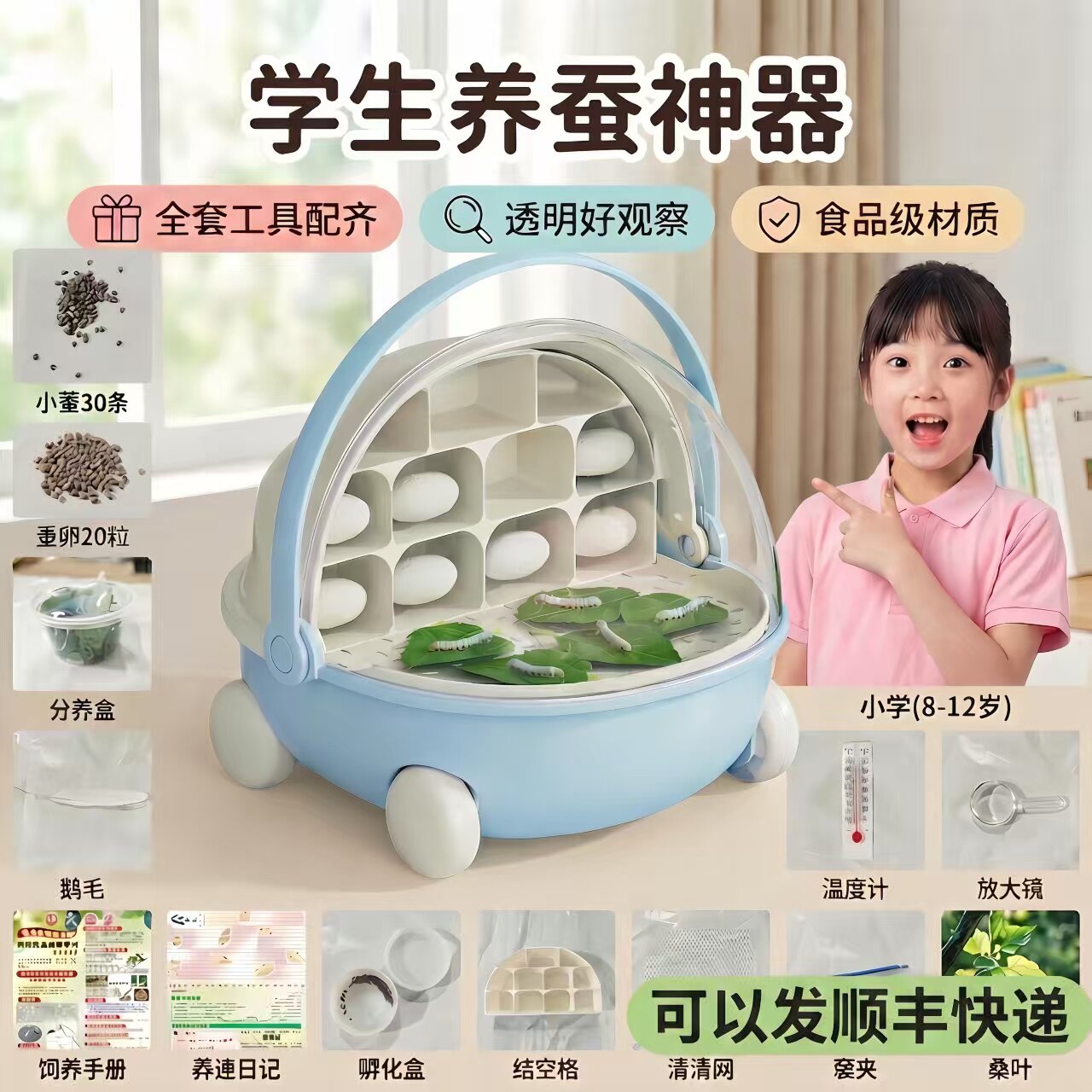 蚕宝宝太空养育仓桑叶新鲜七彩活体小蚕蚕卵籽饲养盒学生养蚕套装