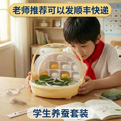 蚕活体金丝蚕学生养蚕套装鲜桑叶