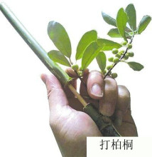 竹筒枪8090怀旧传统竹枪儿童竹子做的手工玩具竹噼啪打柏桐竹炮枪