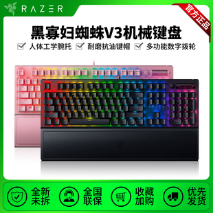 Razer雷蛇黑寡妇蜘蛛V3有线机械键盘游戏腕托104键竞技版87键背光