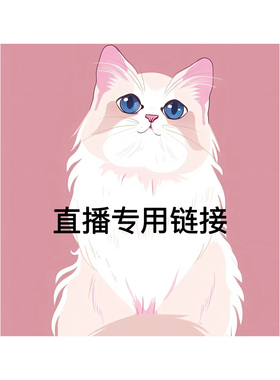 纯手工国风挂件饰品精致小物件