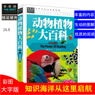 【现货速发】常春藤系列动物植物大百科(精致图文版)/精装彩图/3-4-5-6-7年级课外阅读书科普书儿童百科书汕头大学出版社