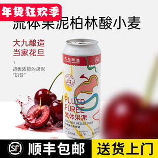 大九酿造 流体果泥 芭乐之旅 就酱 西柚 无序 劝酒果子果味啤酒