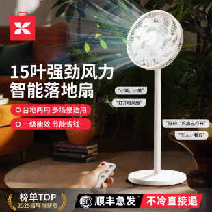 电扇15叶大风力落地 节能空调扇 2025新款 桌面电风扇小型家用立式