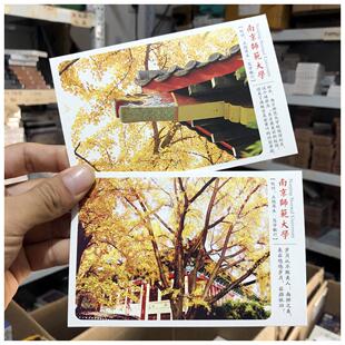 30张南京师范大学明信片211高校美丽校园风景卡片雪景银杏地标物