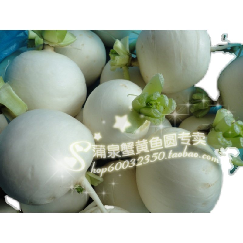 南通如皋百日子捏颈儿白小水果萝卜现拔现发5斤新鲜白萝卜圆萝卜,水产肉类/新鲜蔬果/熟食,萝卜/胡萝卜,淘宝优惠券,粉丝福利购,淘宝优惠卷