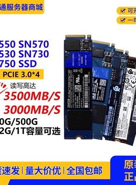 SN550 530 570 750 730固态硬盘M.2 250 512 500 1TB SSD PCIE3.0