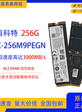 Plextor浦科特256G固态硬盘PX-256M9PGN M.2 NVME台式机笔记本SSD