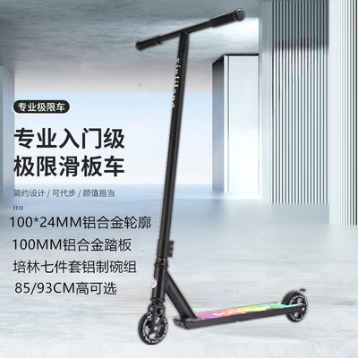 代步滑板车两轮刷街花式竞技车