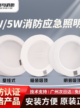 北大青鸟消防应急照明灯J-ZFJC-E3W-17Z6A壁挂吸顶嵌入式3W5W灯具