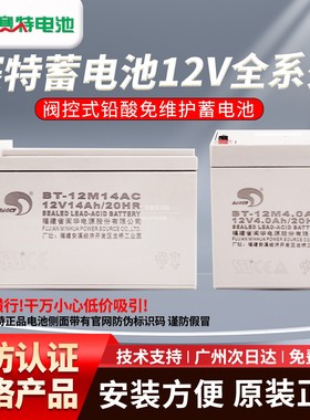 赛特蓄电池直流屏BT-12M 12V2.3/4/7/10/12/14/17/24AH 20HR