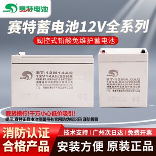 赛特蓄电池直流屏BT 12V2.3 12M 20HR 24AH