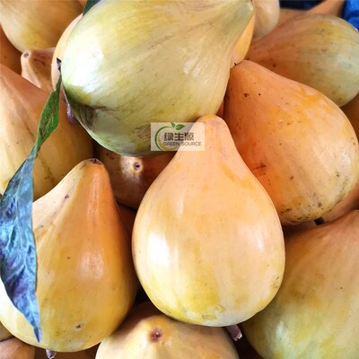 潞江坝新鲜水果鸡蛋果5斤装包邮