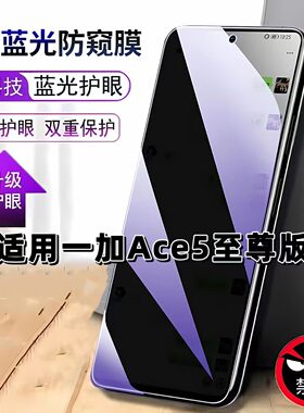 适用一加Ace5至尊版防窥膜PLC110抗蓝光护眼防偷窥OnePlus钢化膜1+ace5至尊版手机膜黑边防偷看保护隐私贴膜
