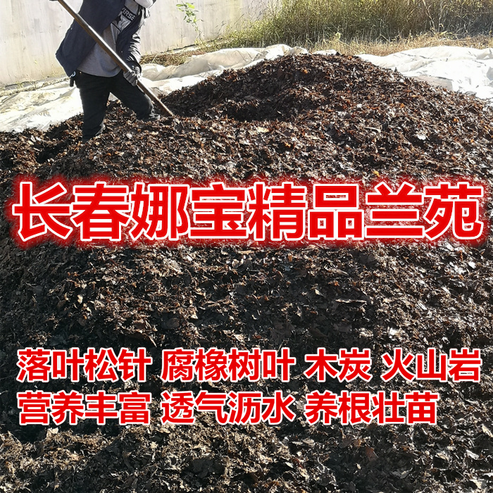 长春精品君子兰 专用土松针腐像树叶 腐熟植料有机营养土肥料盆栽