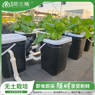 幸运买家无土栽培设备家庭阳台RDWC系统荷兰桶种植