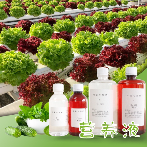 测试推荐水培蔬菜营养液买家