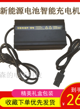 数智48V60V72V新能源铅酸电瓶电动汽车篷车快速智能三四轮充电器