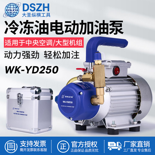 大圣WK-YD250电动加油泵