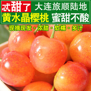 大连旅顺露天凉地自然熟黄色佳红大樱桃 现摘现发 顺丰包邮
