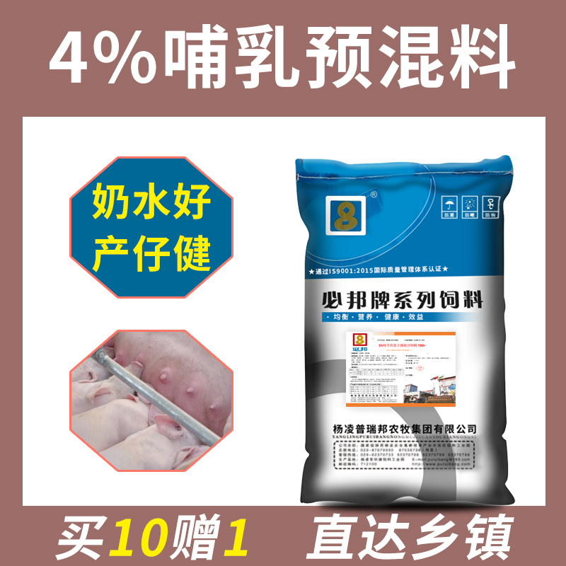 4%哺乳母猪预混料猪用猪场养殖物资复合饲料养殖户后备猪的添加剂