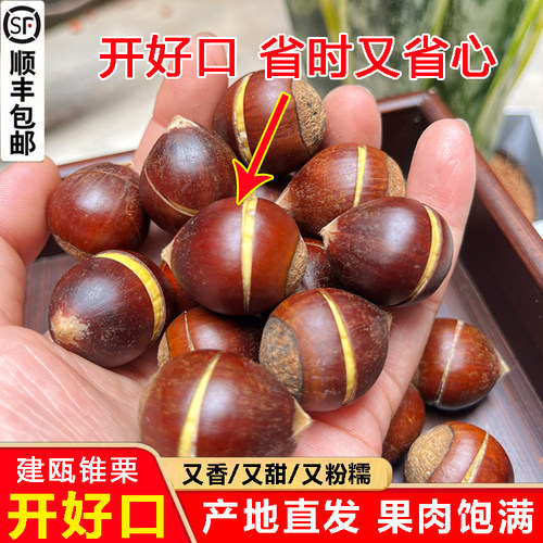 开好口的锥栗现摘现发顺丰包邮