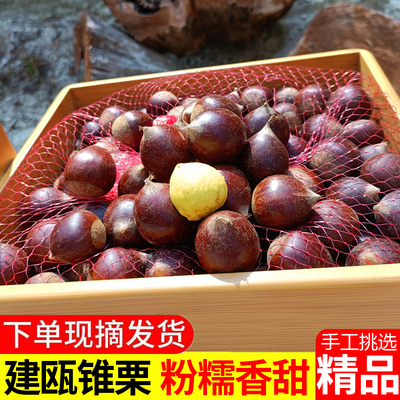 顺丰包邮现摘现发联系送开口器