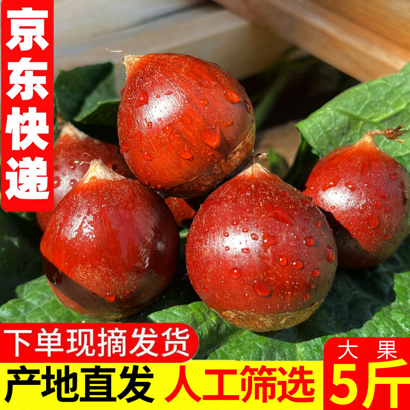 京东包邮2026年新锥栗坏果包赔