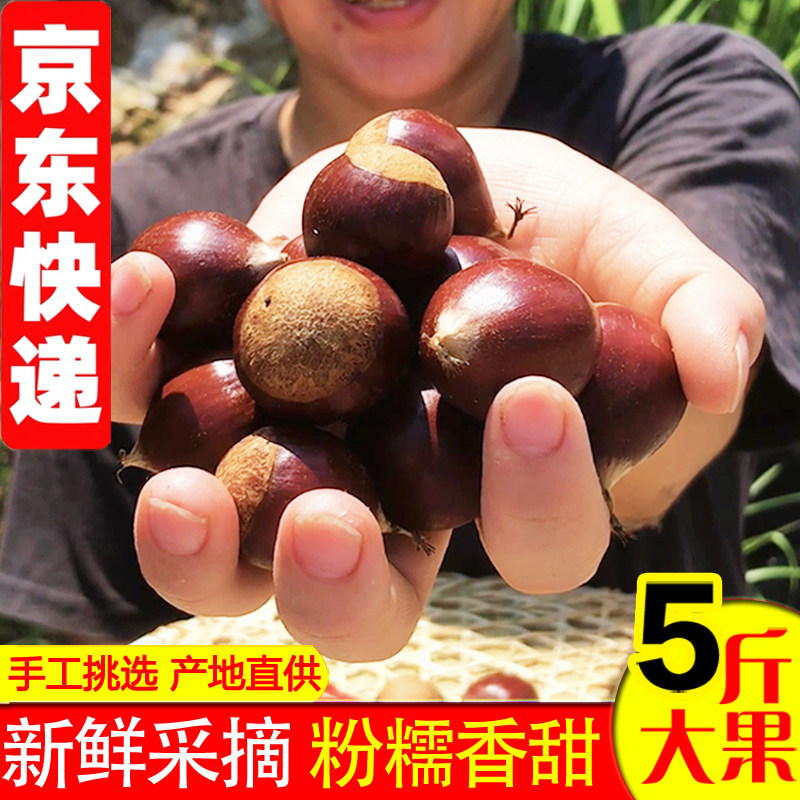 又香又甜又糯2026年新鲜板栗现摘