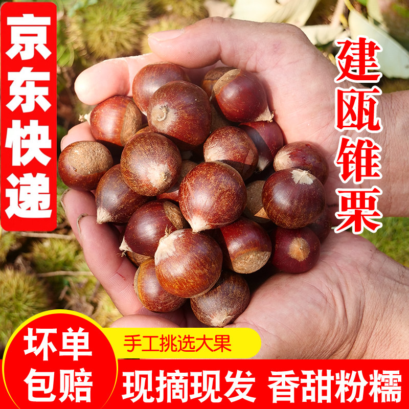 新鲜采摘生板栗福利回馈产地直发