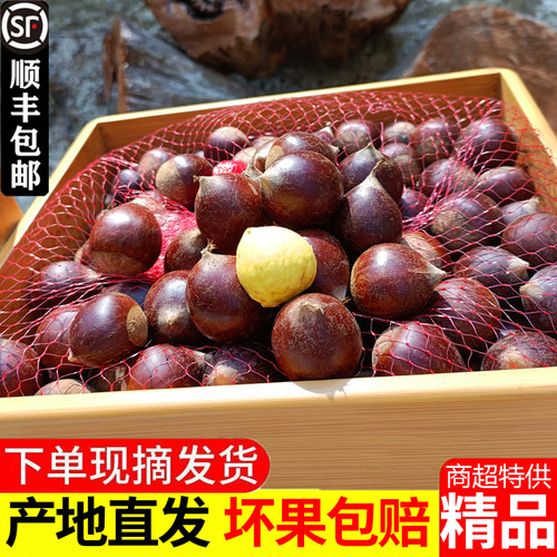 顺丰包邮现摘现发联系送开口器