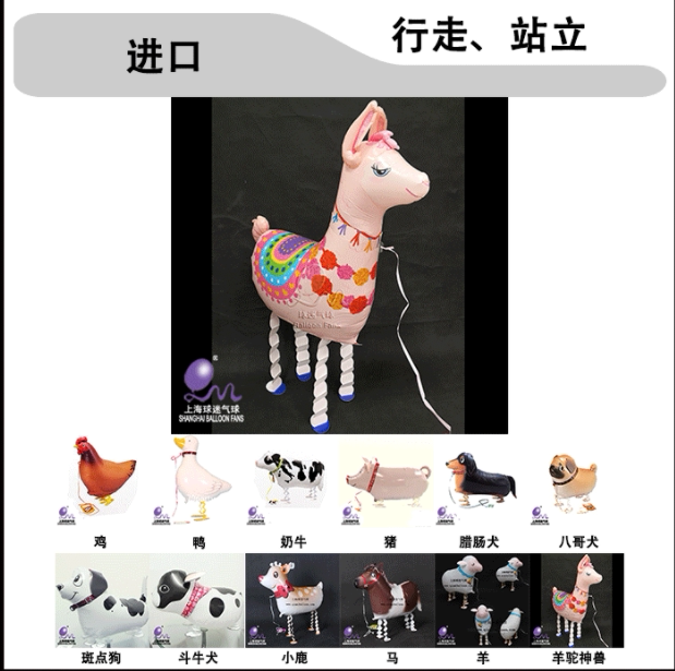 宠物动物气球行走散步羊年