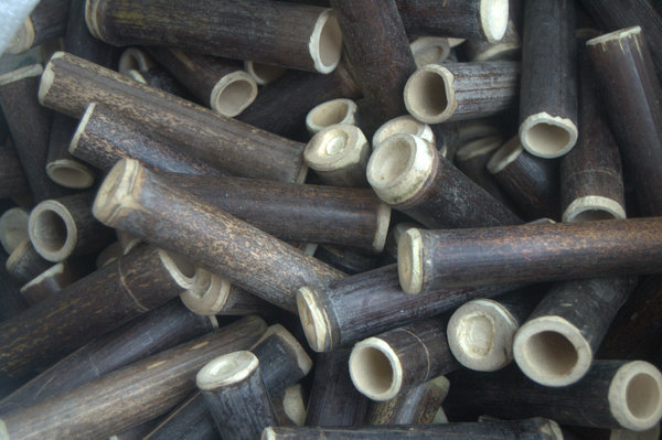 紫竹野外虫具用品蛐蛐