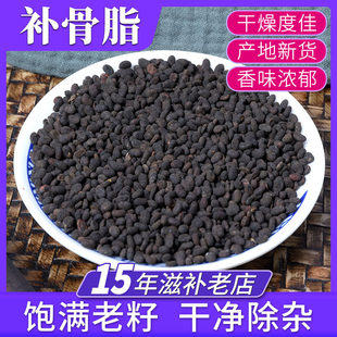 补骨脂500g中药材 泡茶 黑故子破故纸
